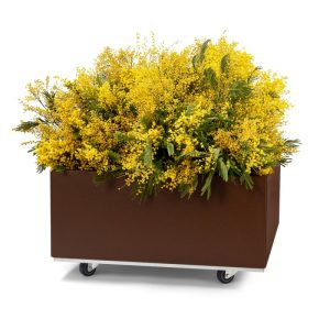 Plantekasse i Lakk Rust 60x60x25 cm med bunn og hjul. BEDD