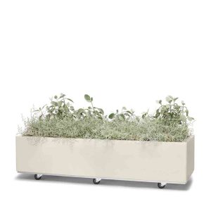 Plantekasse i Kalk 120x40x25 cm med bunn og hjul. BEDD