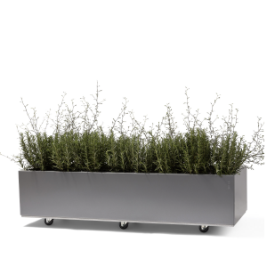Plantekasse i Grå 120x60x25 cm med bunn og hjul. BEDD (40-012GL)